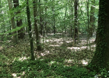 Loch Lomond Trl SW, Atlanta, Georgia 30331, 0 , 0 ,0,Land,Invest in a Project,Loch Lomond,0,1018